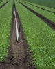 Vand teren agricol tulcea 1000 ha